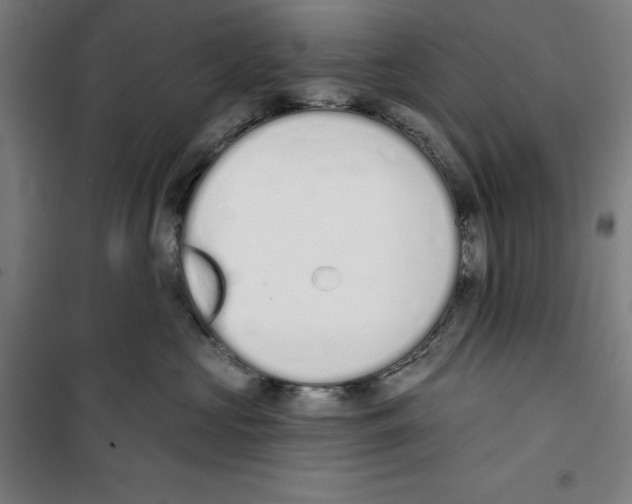 X0000100320573200807031214