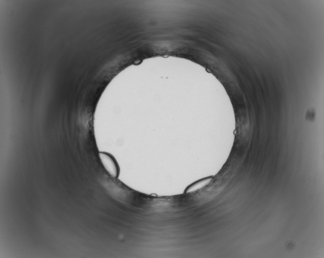 X0000100320574200807031214