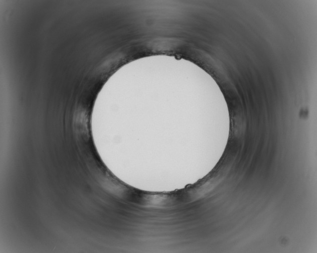 X0000100320575200807031214