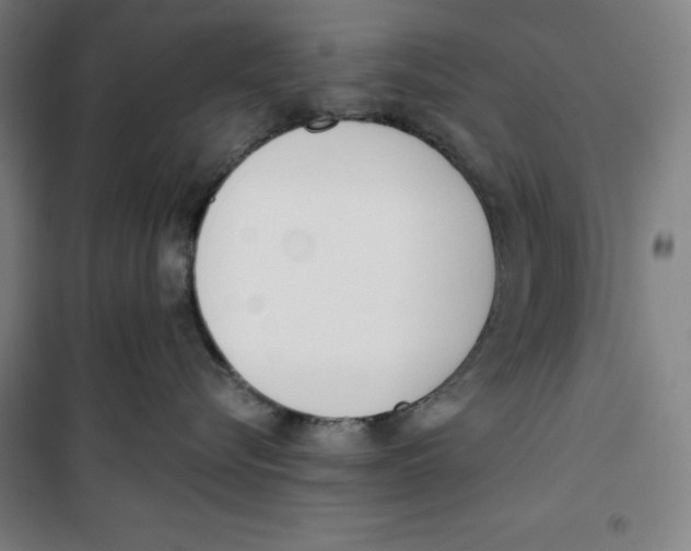 X0000100320576200807031214