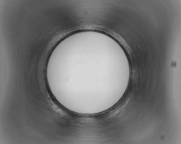 X0000100320577200807031213