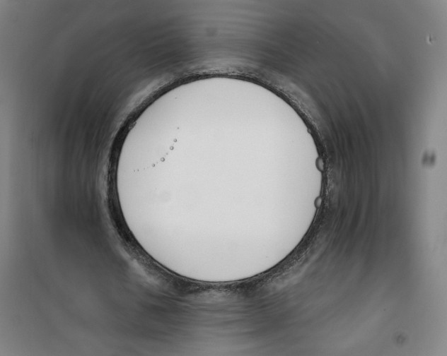 X0000100320578200807031213