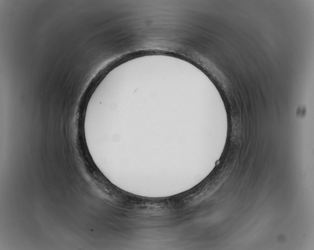 X0000100320580200807031213