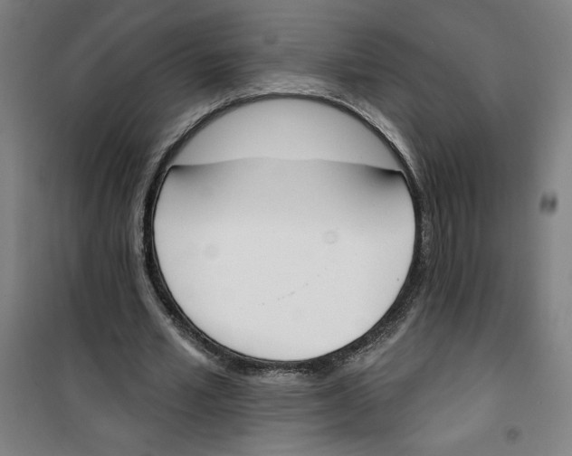 X0000100320581200807031213