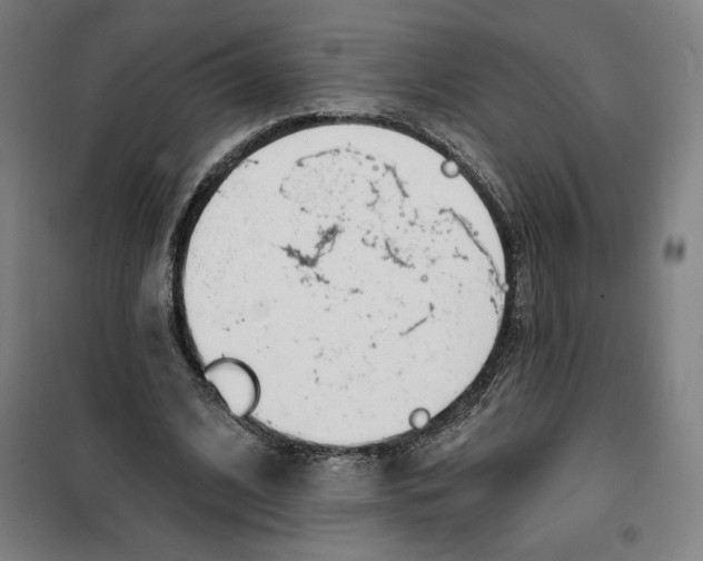 X0000100320584200807031213