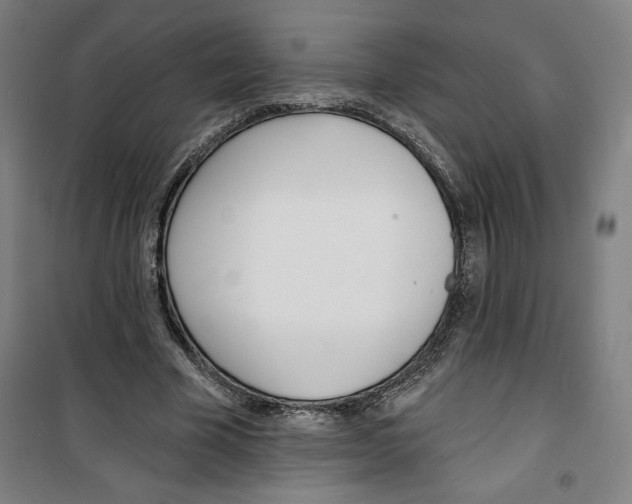 X0000100320585200807031213