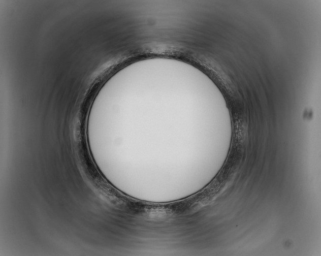 X0000100320587200807031213