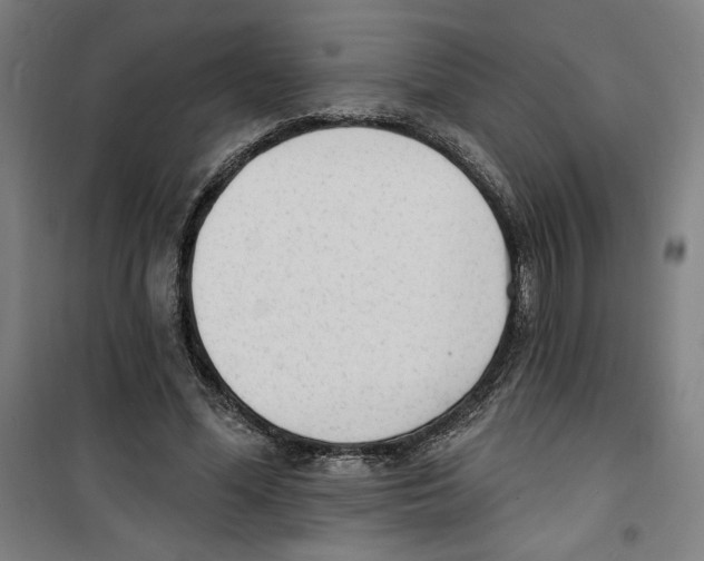 X0000100320588200807031213