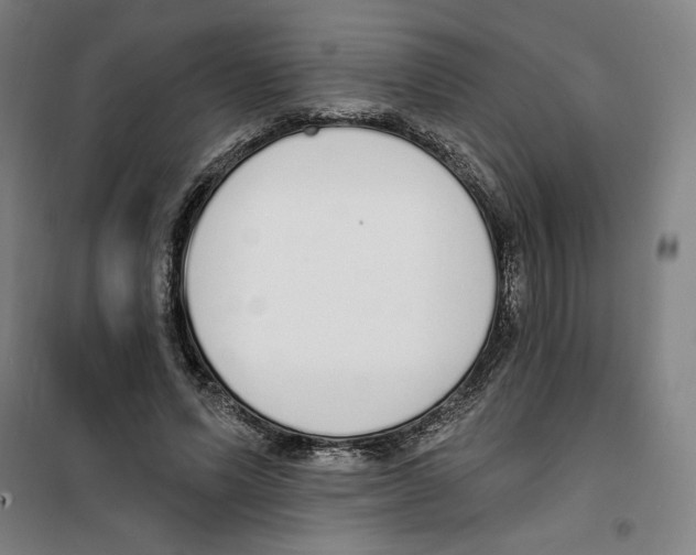 X0000100320591200807031213