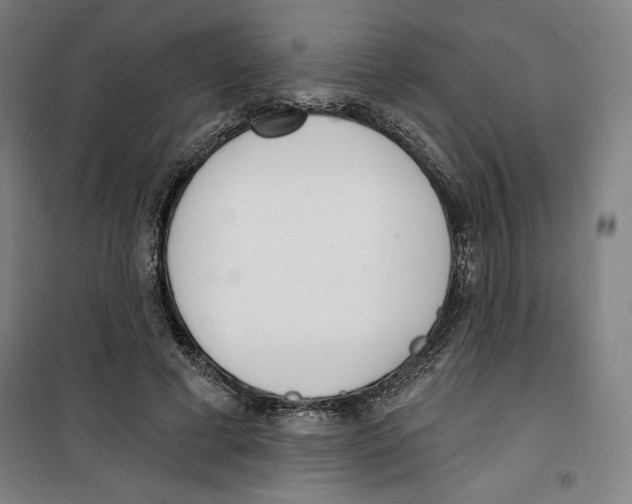 X0000100320593200807031213