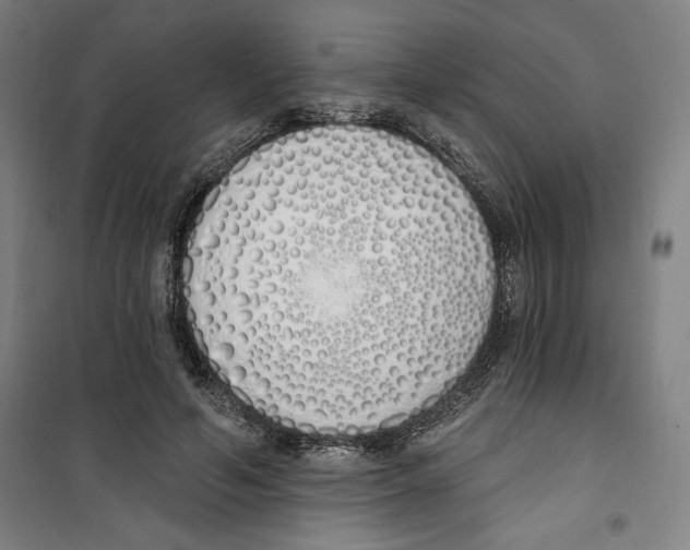 X0000100320594200807031213