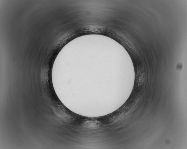 X0000100320595200807031213