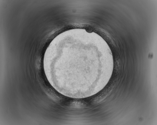 X0000100320596200807031213