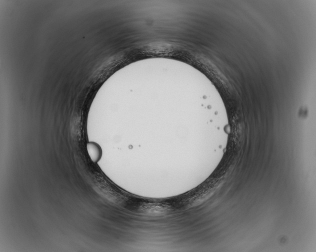 X0000100320597200807031213