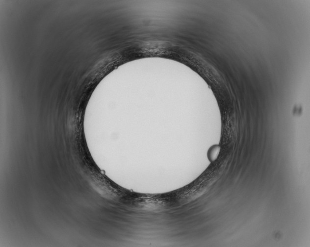 X0000100320601200807031213