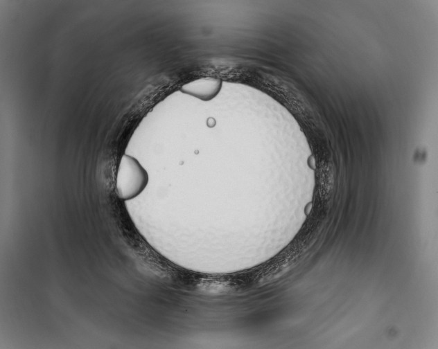 X0000100320602200807031213