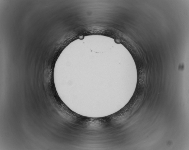 X0000100320604200807031213