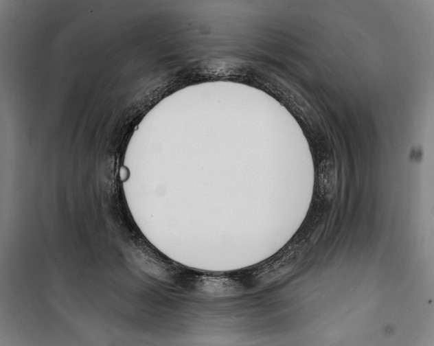 X0000100320605200807031213