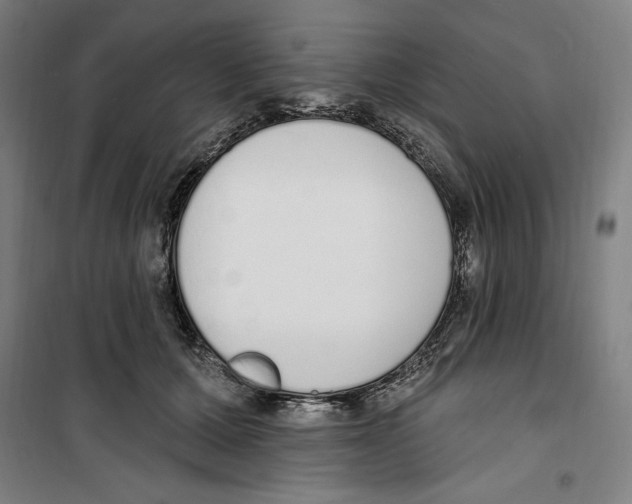 X0000100320607200807031212