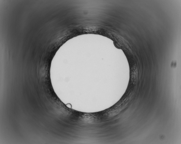 X0000100320608200807031212