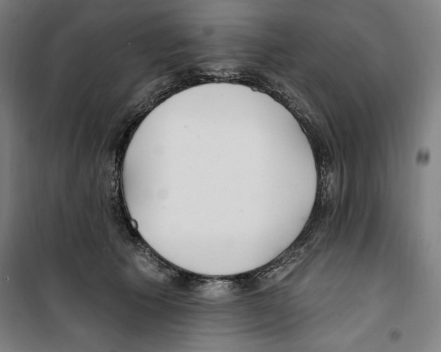 X0000100320609200807031212