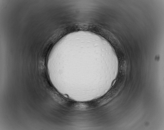 X0000100320610200807031212