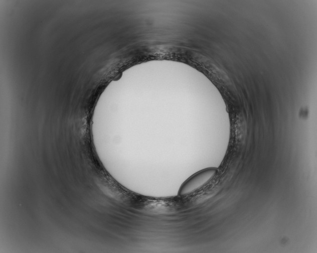 X0000100320611200807031212