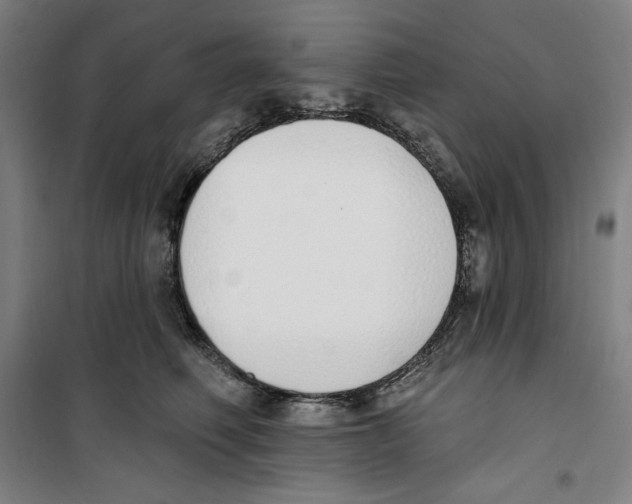 X0000100320614200807031212