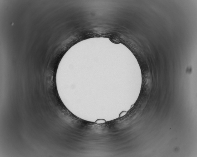 X0000100320615200807031212