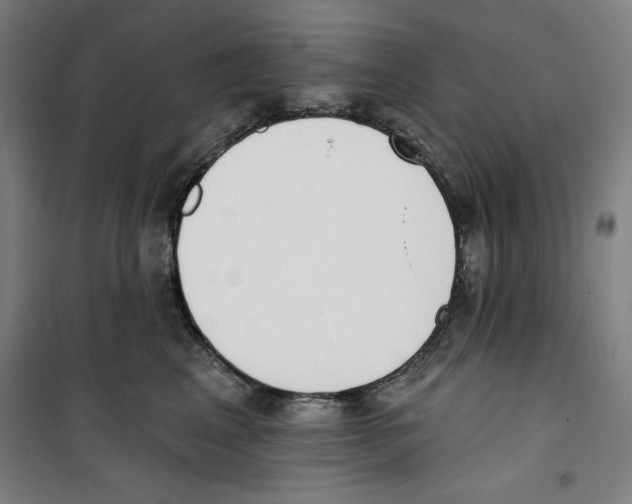 X0000100320617200807031212