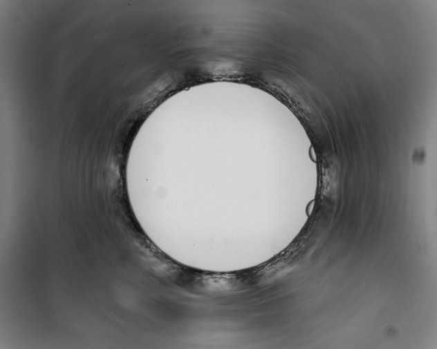 X0000100320618200807031212