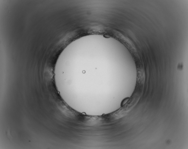 X0000100320621200807031212