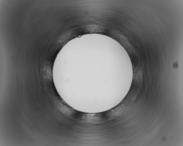 X0000100320622200807031212