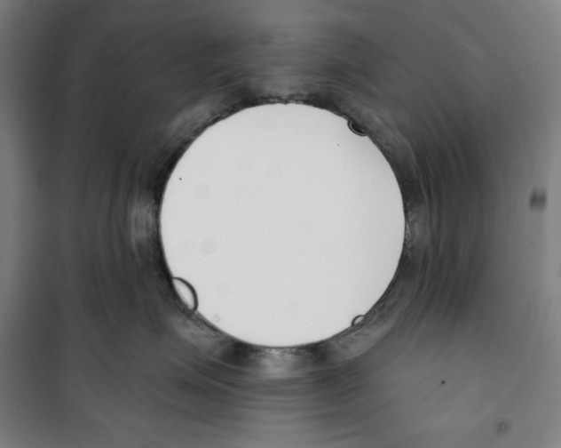 X0000100320623200807031212