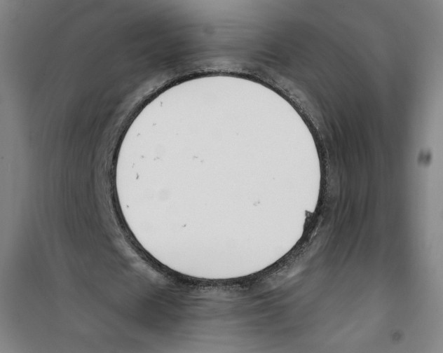 X0000100320625200807031211