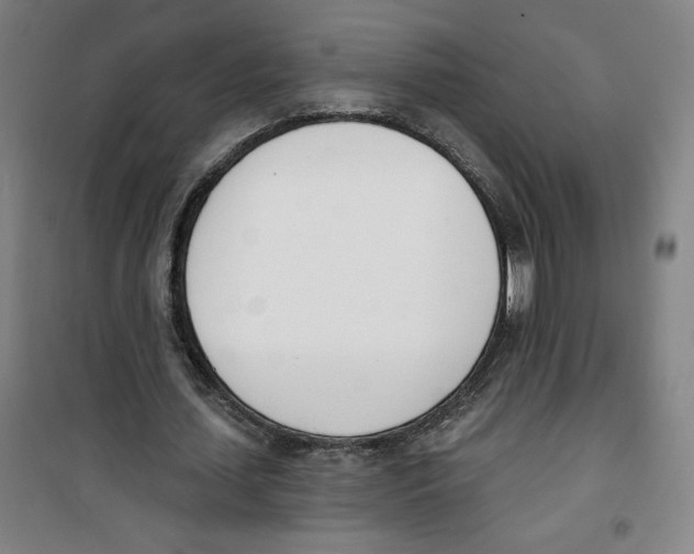 X0000100320627200807031211