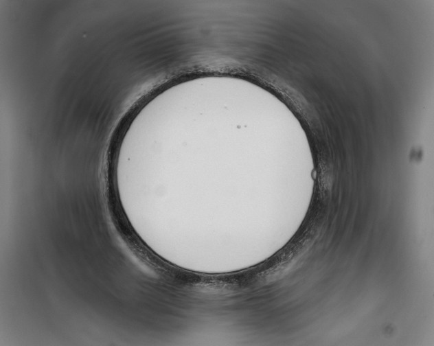 X0000100320630200807031211