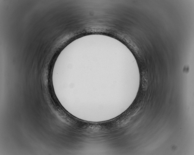 X0000100320631200807031211