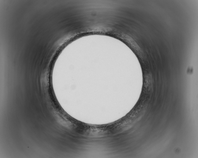 X0000100320632200807031211