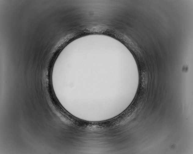 X0000100320634200807031211