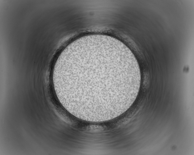 X0000100320636200807031212