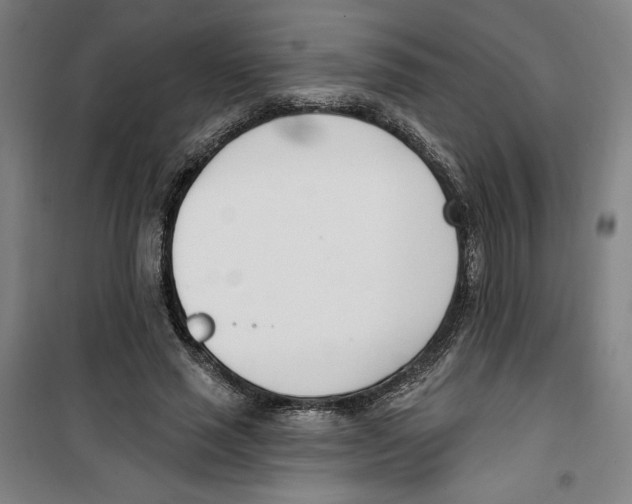 X0000100320637200807031212