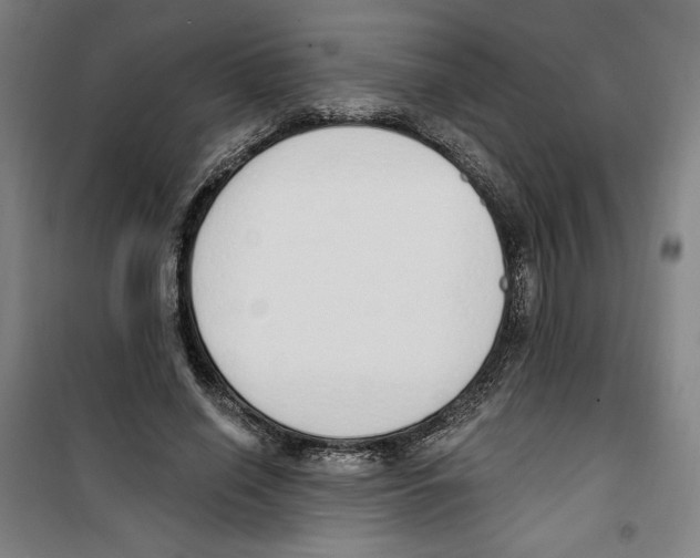 X0000100320638200807031212