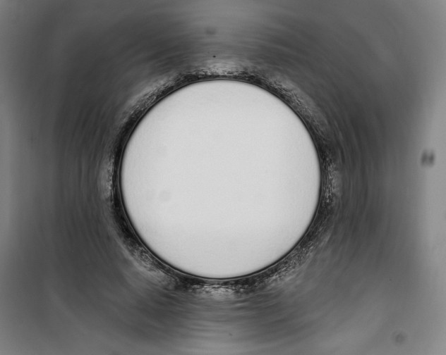 X0000100320640200807031212