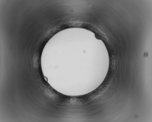 X0000100320641200807031212