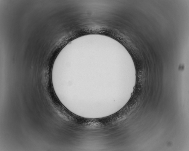 X0000100320642200807031212