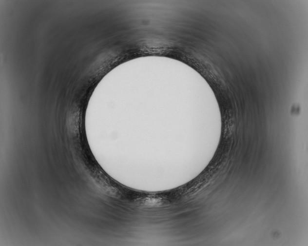 X0000100320647200807031212