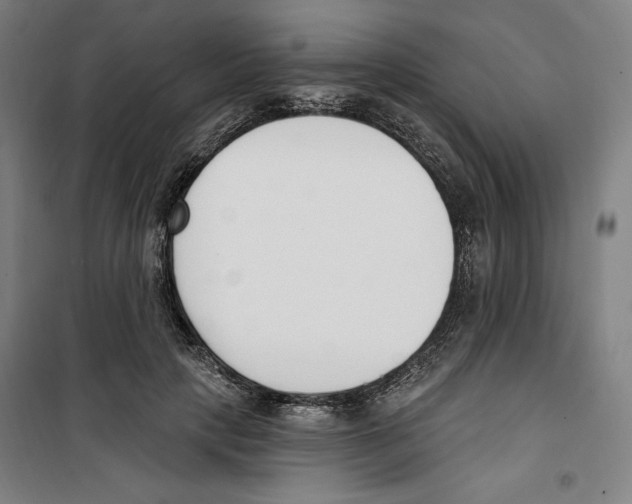 X0000100320649200807031212