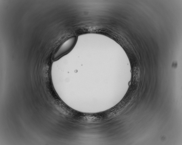 X0000100320650200807031212