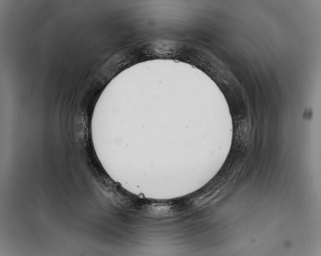 X0000100320651200807031212